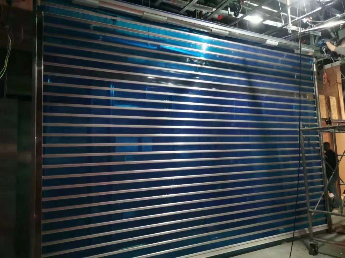 sj2.jpg